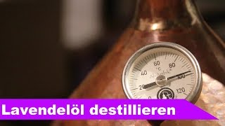 🌷 Lavendel destillieren 🌻  ätherisches Öl selber machen  diSTILLed [upl. by Faustine435]