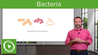 Bacteria Structure amp Types – Microbiology  Lecturio [upl. by Nylrem]