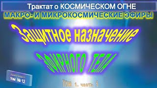 12 ЗАЩИТНОЕ НАЗНАЧЕНИЕ ЭФИРНОГО ТЕЛА  ЭФИРНОЕ ТЕЛО И ПРАНА Трактат о КОСМИЧЕСКОМ ОГНЕ  А Бэйли [upl. by Shaylynn]