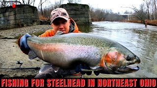 Northeast Ohio Steelhead Fishing [upl. by Trust564]