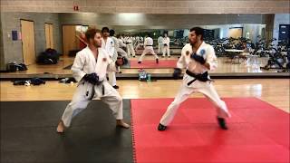 Tae Kwon Do vs Shotokan Round 2 [upl. by Jacqui]