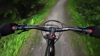 Hamsterley forest first time on the giant reign e 2 poor footage [upl. by Euqinahs]