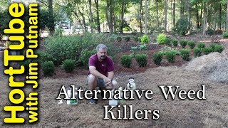 Alternative Weed Killing Methods [upl. by Caressa]