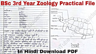 Bsc 3Rd year zoology practical file PDF [upl. by Shari23]