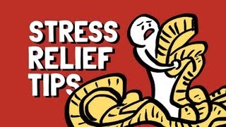 Stress Management Strategies Ways to Unwind [upl. by Akemej165]