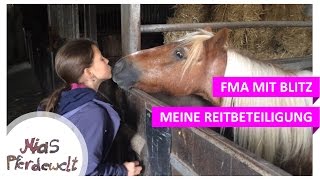 Meine erste Reitbeteiligung FMA mit Blitz [upl. by Nnyleuqcaj]