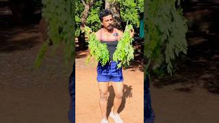 Diet plan Ideas tamil  Healthy Life style  Sathish fitness tamil [upl. by Austin]