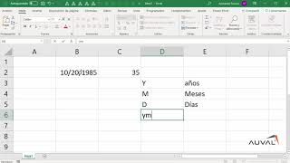 Calcular edad con Excel en inglés y español en el mismo video [upl. by Leaffar]