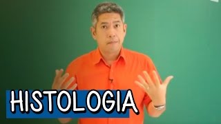 Tecido Epitelial e Tecido Endócrino  Resumo para o ENEM Biologia  Descomplica [upl. by Othilie]