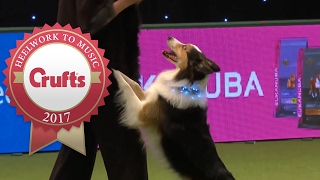 Heelwork To Music Competition Part 33  Crufts 2017 [upl. by Auqinu]