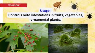 Etoxazole insecticide Mite Control Guide for Farmers for spider mites [upl. by Peterson]