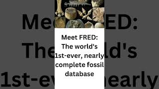 Meet FRED The worlds 1stever nearly complete fossil database [upl. by Middendorf]