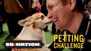 Westminster Kennel Club Dog Show Petting Challenge [upl. by Kcired]