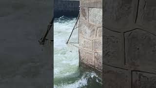 Amazing dam fishing [upl. by Nyhagen]