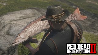 Red Dead Redemption 2  Legendary Muskie Location amp Catch [upl. by Euqitsym283]