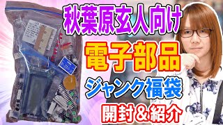 【福袋】秋葉原玄人向け大量の電子部品が入った秋月電子ジャンク福袋 開封【ジャンク】 [upl. by Badr]