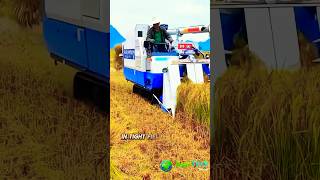 Compact Farming Made EASY with Mini Rice Harvester [upl. by Kasevich298]