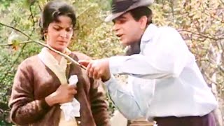 Waheeda Rehman  Best Movie Scenes  Waheeda Rehman and Dilip Kumar Movie Scenes  Ram Aur Shyam [upl. by Kristoffer]