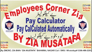 Pay Calculator 202122  Automatically Calculate Pay and Allowances Updated Employees Corner Zia [upl. by Carla]