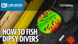 How To Fish LuhrJensen Dipsy Divers [upl. by Stannfield73]