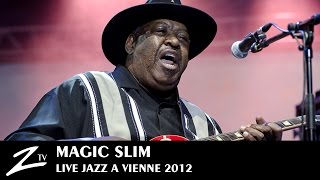 Magic Slim feat Keb Mo  Mother In Law Blues The Blues Is Alright  LIVE HD [upl. by Alrac]