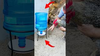 20 Litre Danacana ile Otomatik Tavuk Suluk Yapımı chicken diychickencoop diy [upl. by Pawsner]