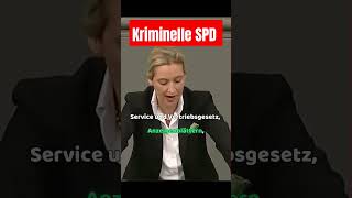 Kriminelle SPD [upl. by Parshall]