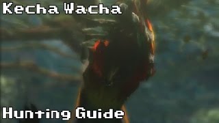 Hunting a Kecha Wacha  Hunting Guide  Monster Hunter 4 Ultimate [upl. by Penthea]