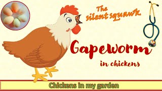 Gapeworm in chickens [upl. by Ynnub194]