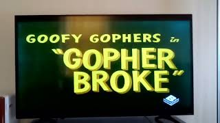 This Is The Intro Of Gopher Broke Broke on Money 😶 [upl. by Catlin]