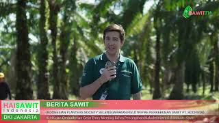 BERITA SAWIT  INDONESIAN PLANTERS SOCIETY SELENGGARAKAN FIELDTIRP KE PERKEBUNAN SAWIT PT SOCFINDO [upl. by Annalise]