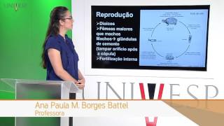 Zoologia de Invertebrados  Aula 10  Filos Acanthocephala e Entoprocta [upl. by Hsakiv]