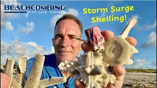 Beachcombing  Storm Surge Shelling [upl. by Westland]