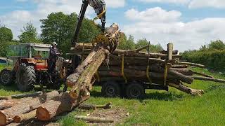 Timber Crane in Kent [upl. by Gaal150]