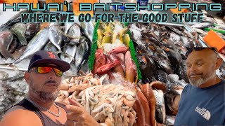 WHERE WE GO TO GET THE BEST BAIT 🦐🦑🐟🎣 fishing fishingtechniques fishinghawaii [upl. by Hako402]