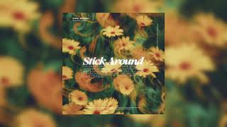 Blended Vinyl  Stick Around  Official Audio [upl. by Ecirahc]