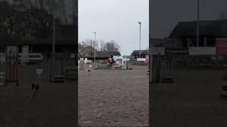 Arena eventing horse equestrain [upl. by Onek]