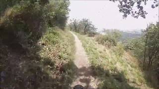 MTB Trailtour mittleres Rheintal [upl. by Waring]