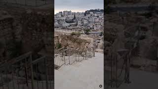 Asi Entraban Al Templo de Jerusalem [upl. by Onaireves]