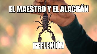 REFLEXION EL MAESTRO Y EL ALACRÁN Reflexiones Diarias Cortas Motivacion Mejor Persona Frases [upl. by Anide224]