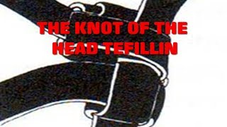 The Knot of the Tefillin [upl. by Annyl879]