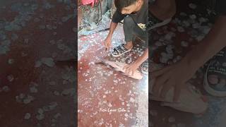 Amazing Big Catla Fish Cutting Skills in Rajshahi shorts fish fishcuttingskill [upl. by Rinee]