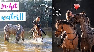 Samen met de paarden in het WATER  felinehoi [upl. by Atikal]