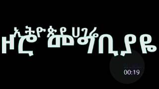 Alemye Getachew Kelem Shash ቀለም ሻሽ Lyrics Video [upl. by Nealon]