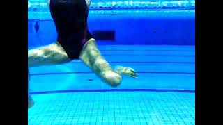 Artistic Swimming  Eggbeater  Slow Motion [upl. by Eecyaj321]