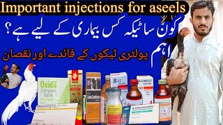 List of injection for aseel poultry injection master aseels [upl. by Nnylireg514]