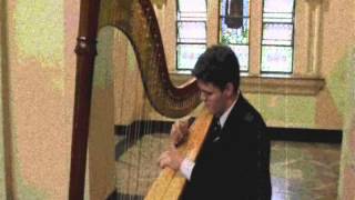 Abels theme  Harp Jonathan Faganello [upl. by Kcirddehs]