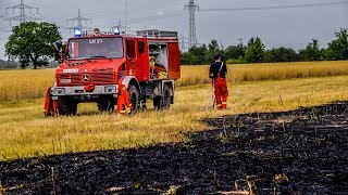 FLÄCHEN amp WALDBRAND 10000 M² IN FLAMMEN  FEUERWEHR im DAUEREINSATZ [upl. by Brig400]