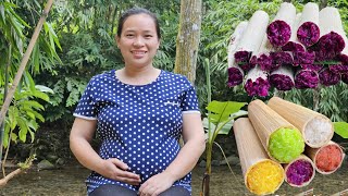 6 Months Pregnant Mother How to Make Delicious Colorful Bamboo Rice  Ly Thi Ca [upl. by Aidil588]