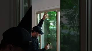 Window Film Removal amp Installation [upl. by Ahk]